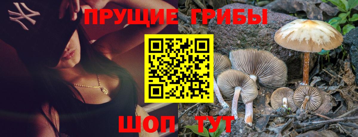 Псилоцибиновые грибы мухоморы  наркотики  Вход с VPN  Лосино-Петровский  Галлюциногенные грибы MAGIC MUSHROOMS 